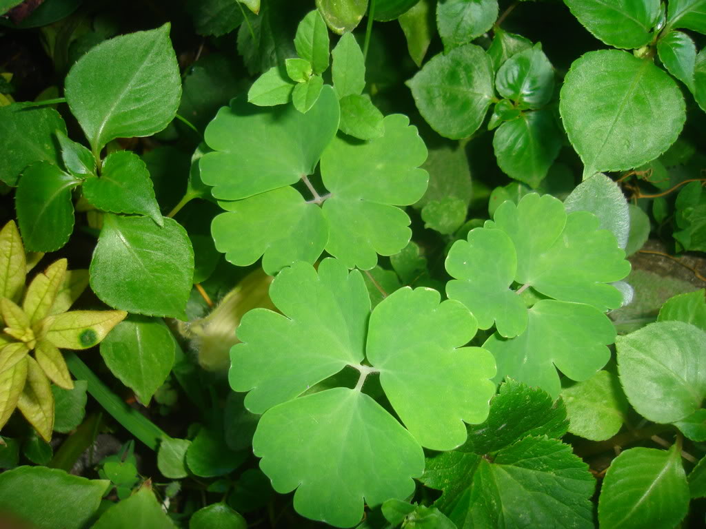 DSC01128.jpg