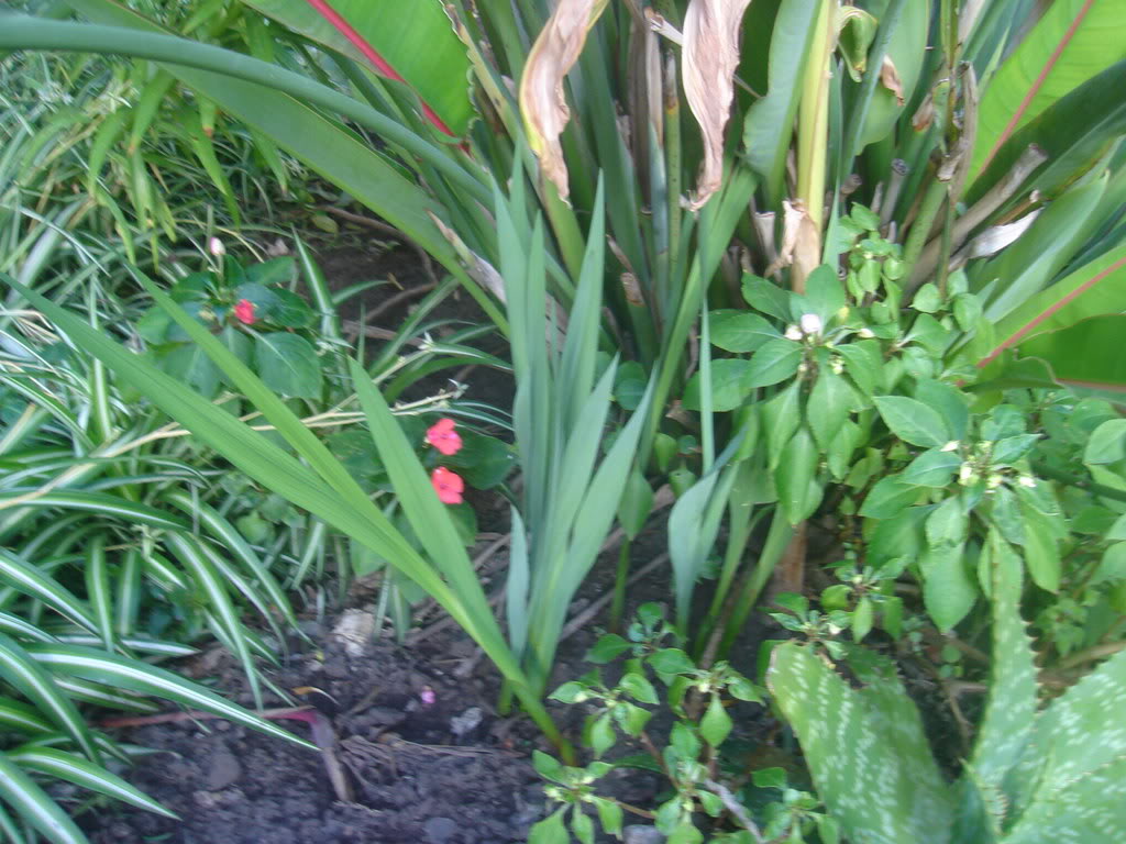 DSC01134.jpg