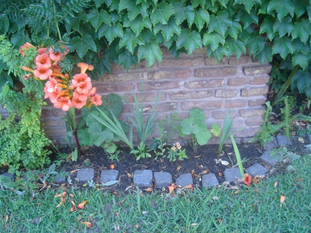 DSC01135.jpg