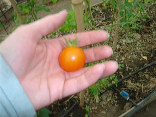 DSC01136.JPG