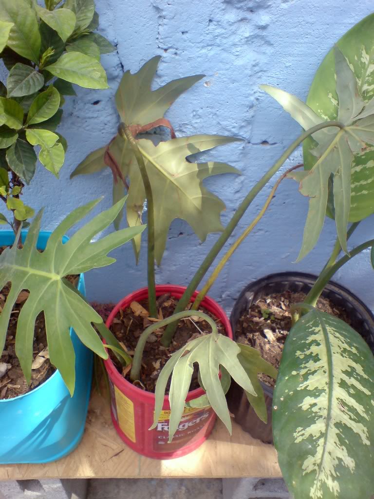 DSC01143.jpg