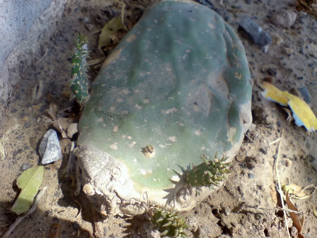 DSC01147.jpg