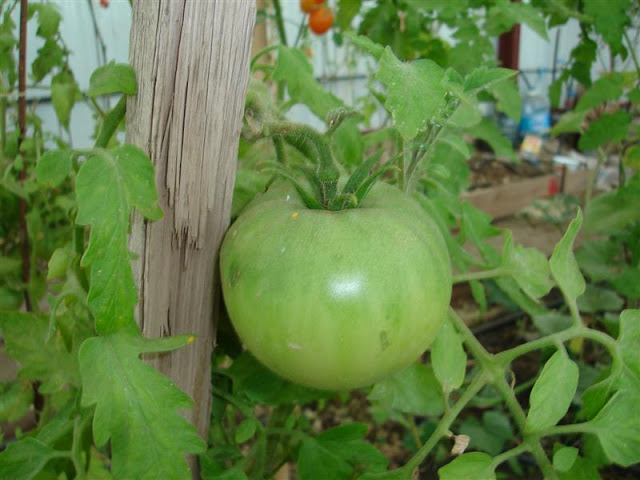 DSC01148.JPG
