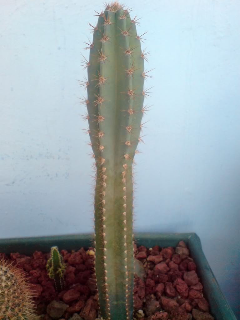 DSC01150.jpg