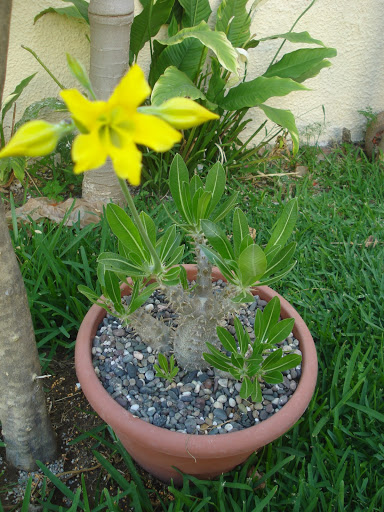 DSC01159.JPG