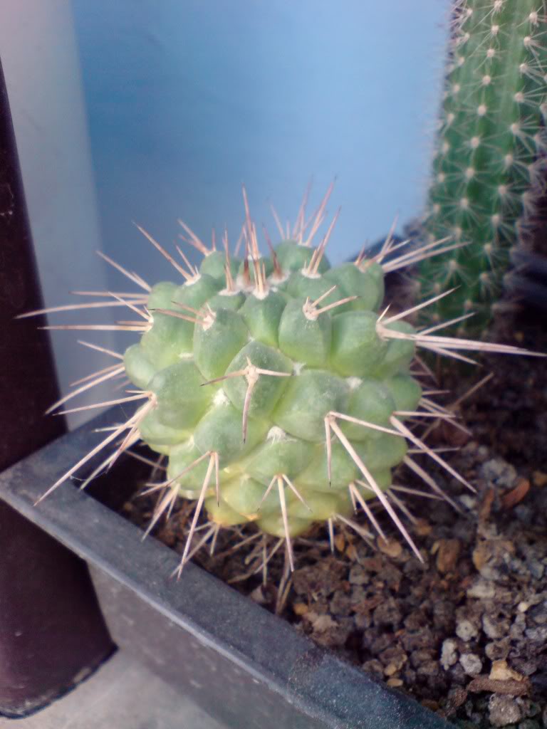 DSC01162.jpg