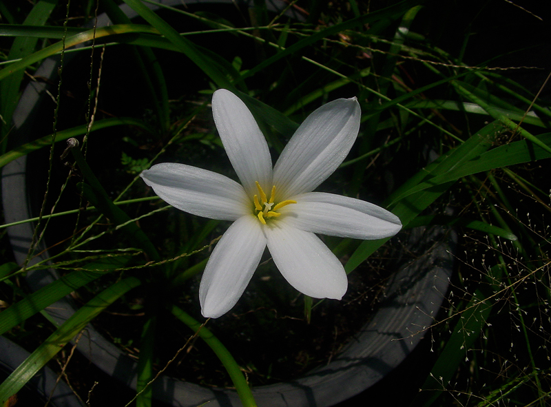 DSC01175.jpg