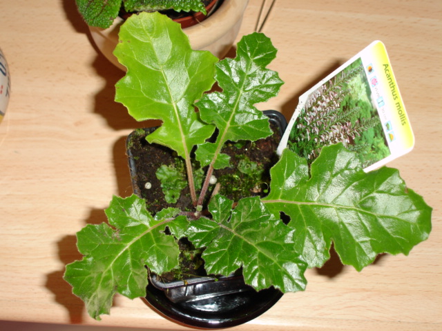 DSC01188%7E0.JPG