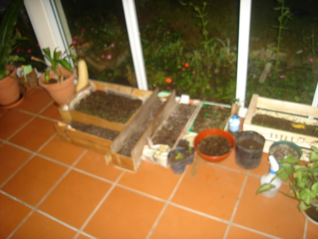 DSC01196.jpg