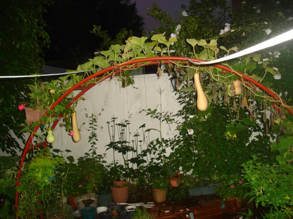 DSC01205.jpg