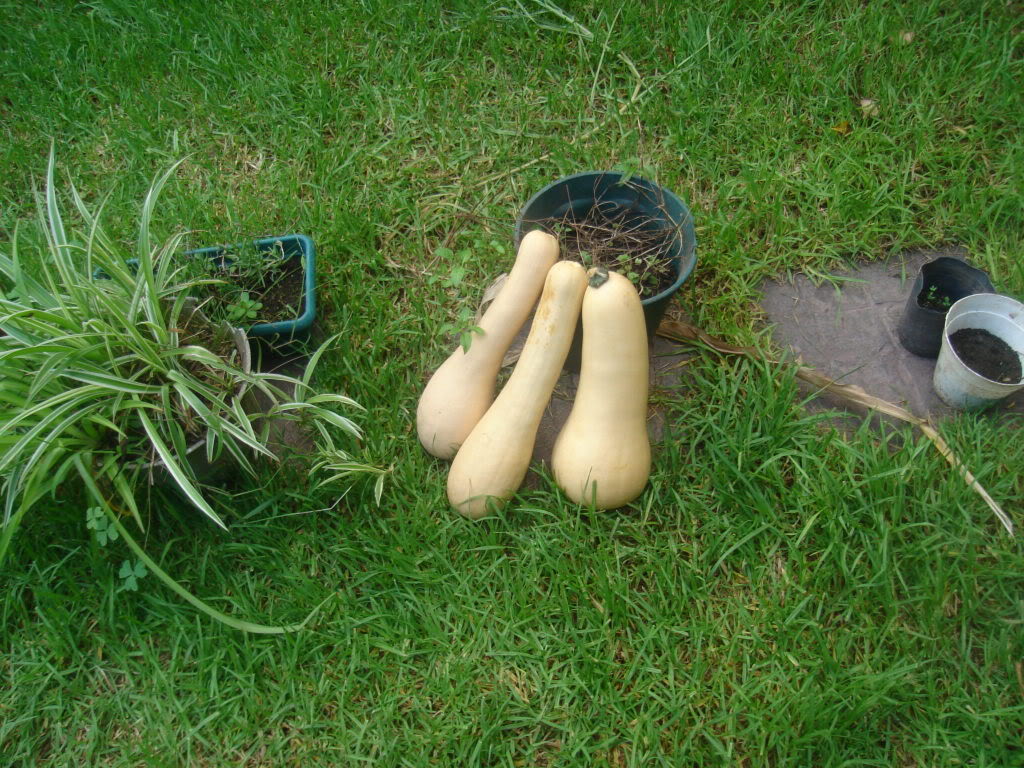 DSC01214.jpg