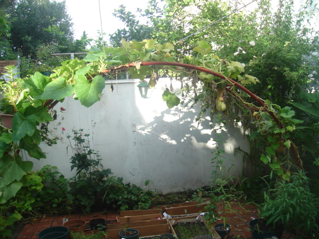 DSC01218.jpg
