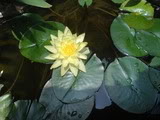 DSC01225.jpg