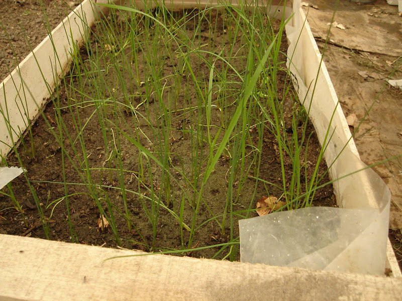 DSC01226.JPG