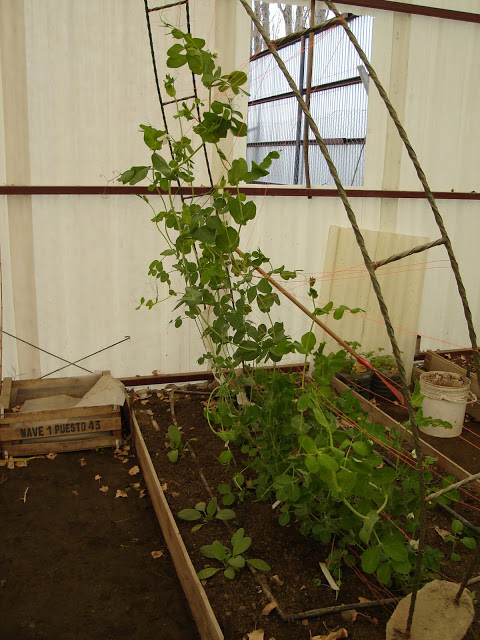 DSC01235.JPG