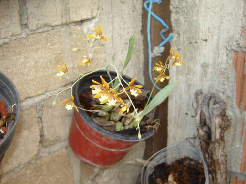 DSC01236.JPG