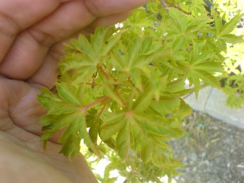 DSC01245.jpg