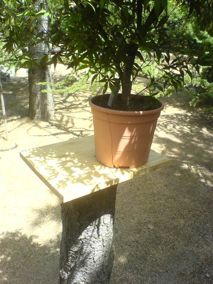 DSC01248.jpg