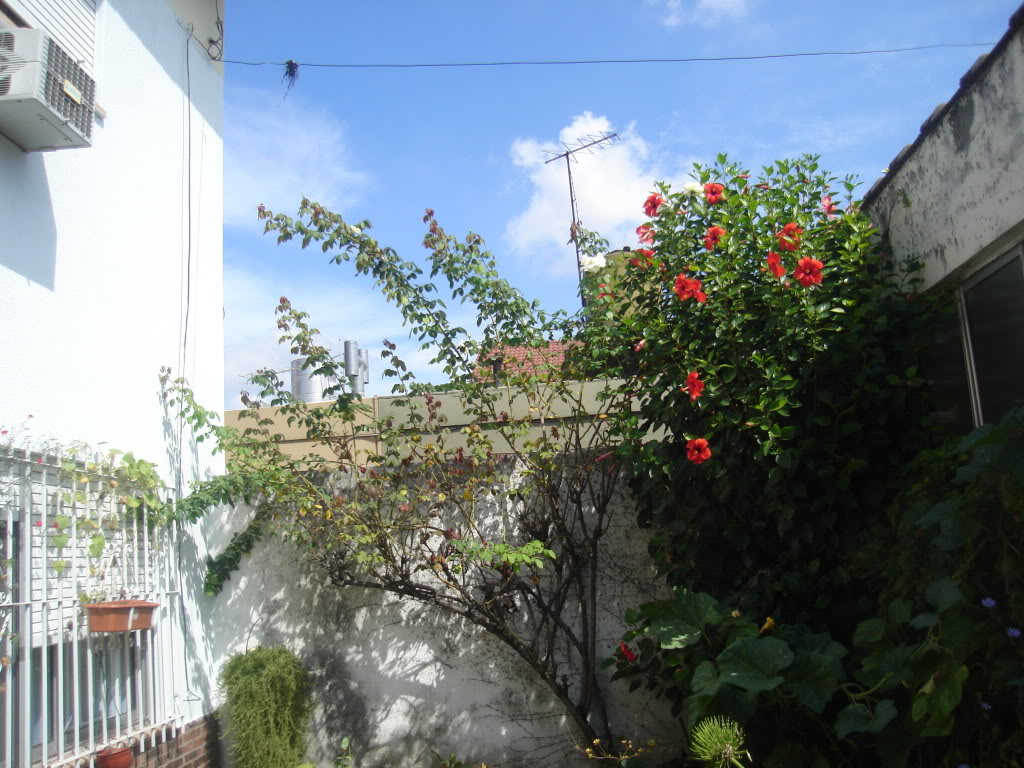 DSC01252.jpg