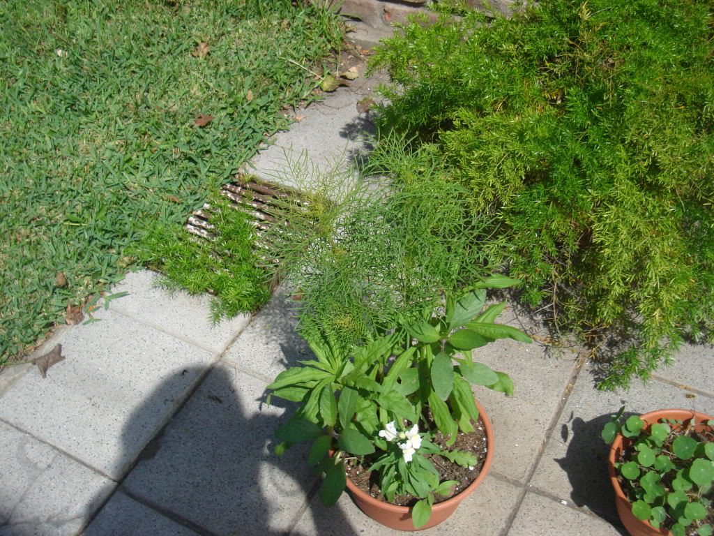 DSC01254.jpg