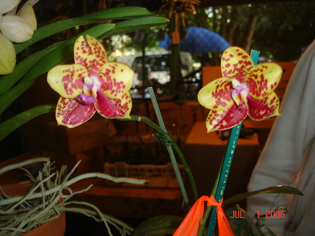DSC01275.JPG