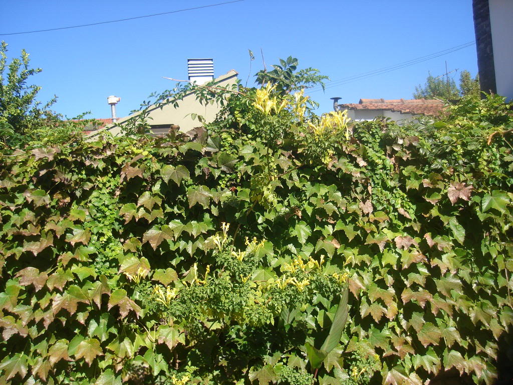 DSC01275.jpg