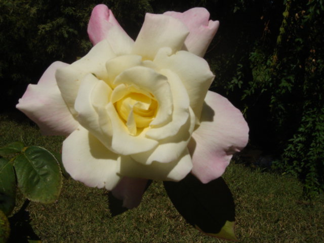 DSC01288.JPG
