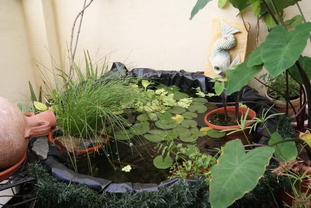 DSC01296.jpg