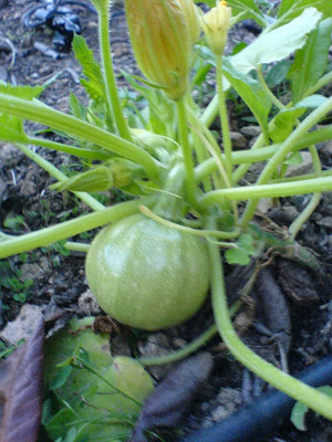 DSC01301.JPG