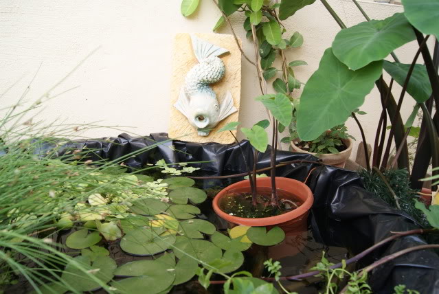 DSC01301.jpg
