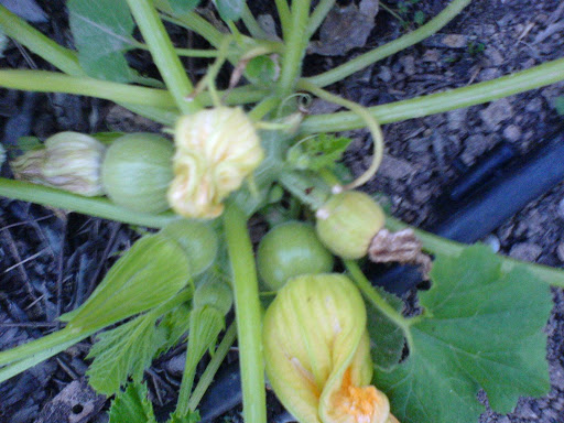 DSC01302.JPG