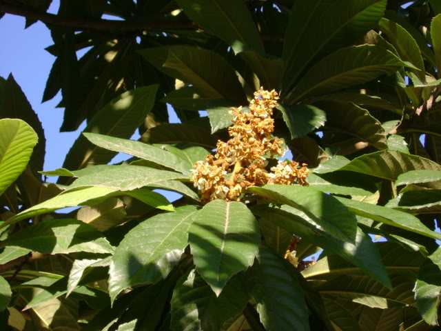 DSC01311.jpg