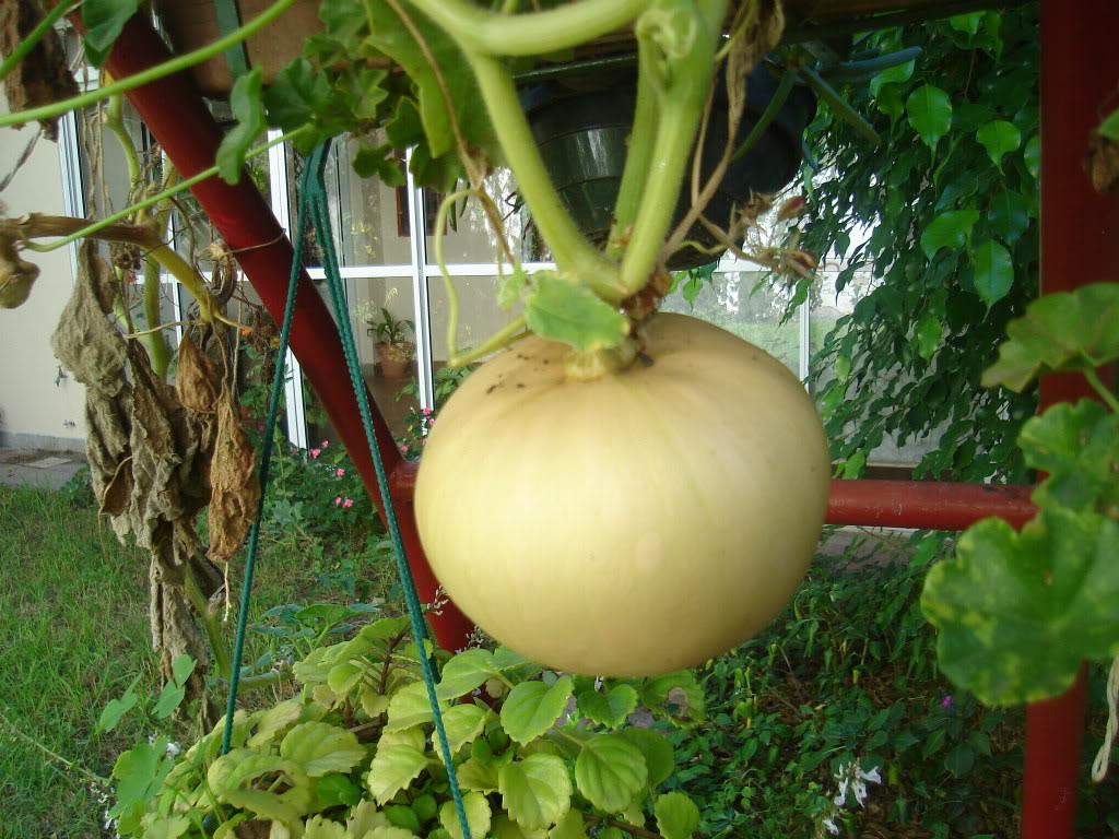 DSC01314.jpg
