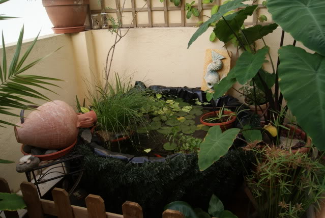 DSC01314.jpg