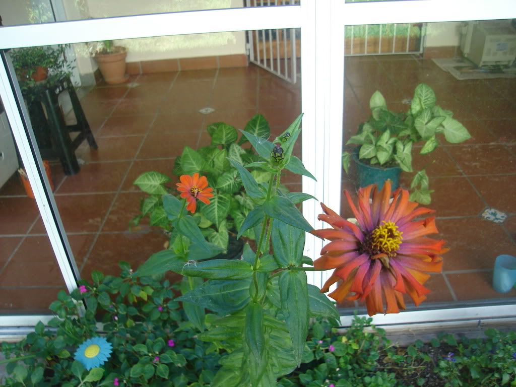 DSC01317.jpg