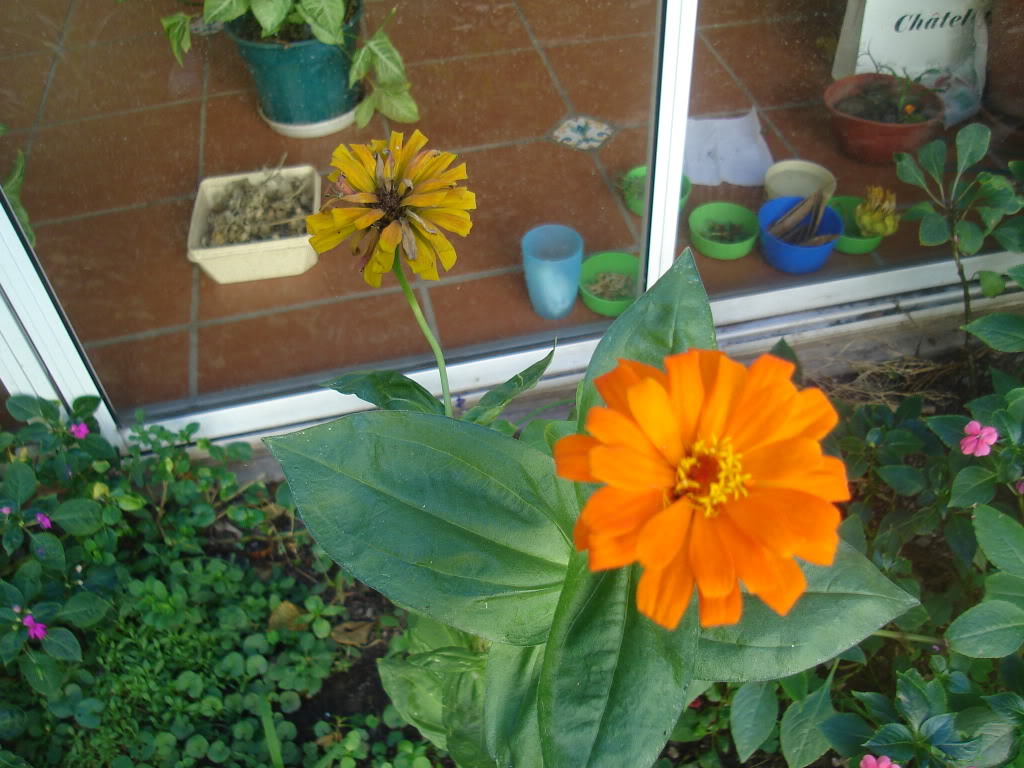 DSC01318.jpg