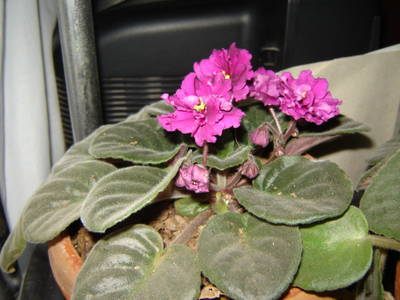 DSC01322.jpg