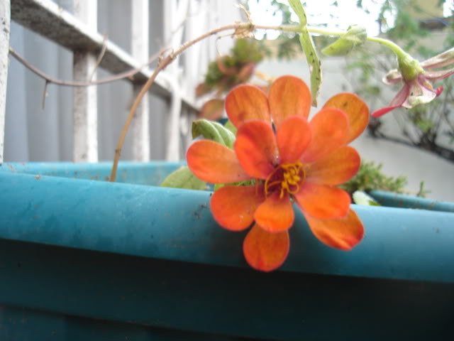 DSC01328.jpg