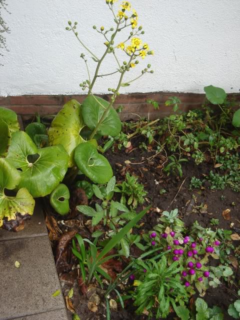 DSC01330.jpg