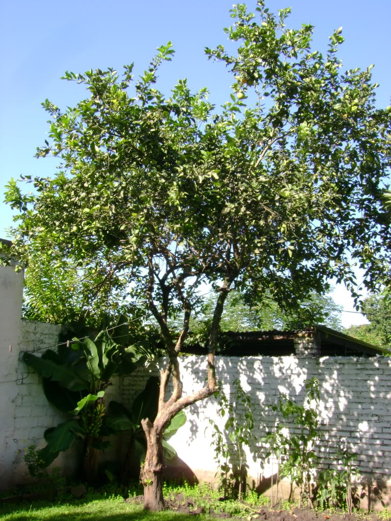 DSC01332.jpg