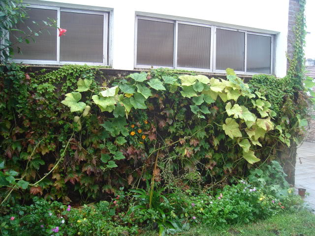 DSC01332.jpg