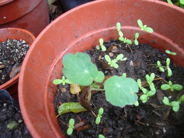 DSC01346.jpg