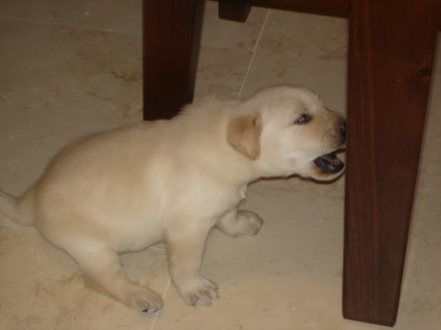 DSC01349.jpg