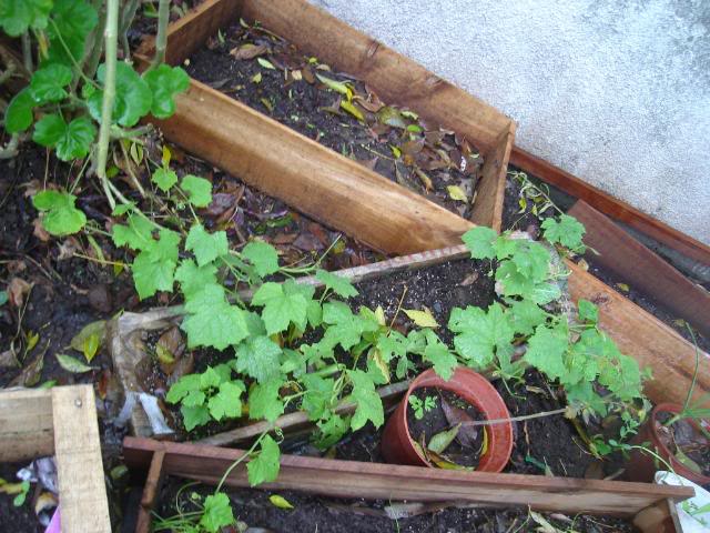 DSC01351.jpg