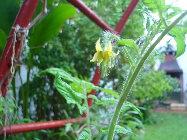 DSC01359.jpg