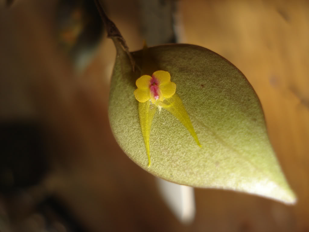 DSC01361.jpg