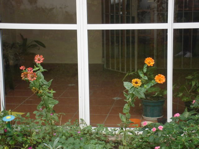 DSC01364.jpg
