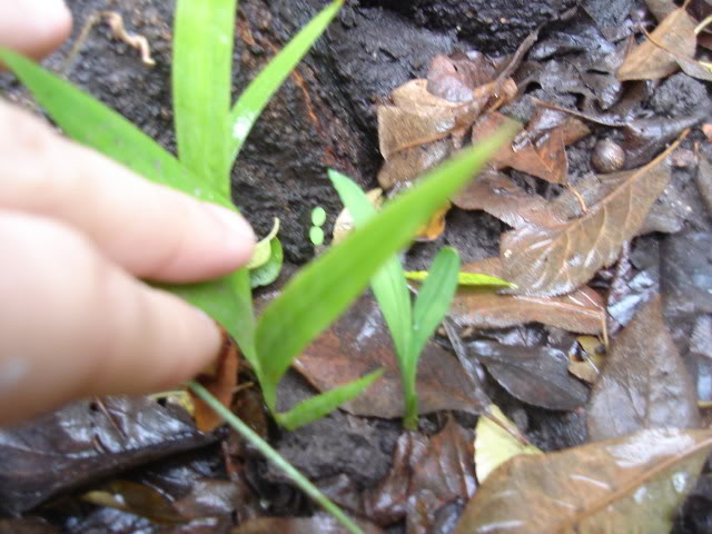 DSC01367.jpg
