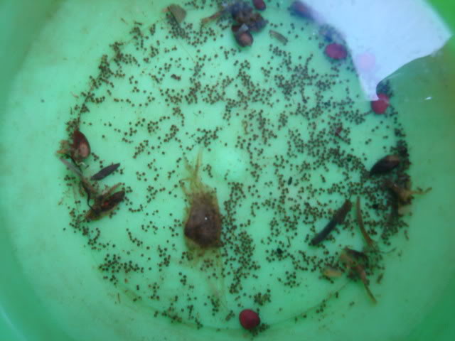DSC01373.jpg