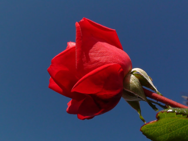 DSC01377.JPG